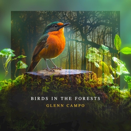 Birds in the Forests
