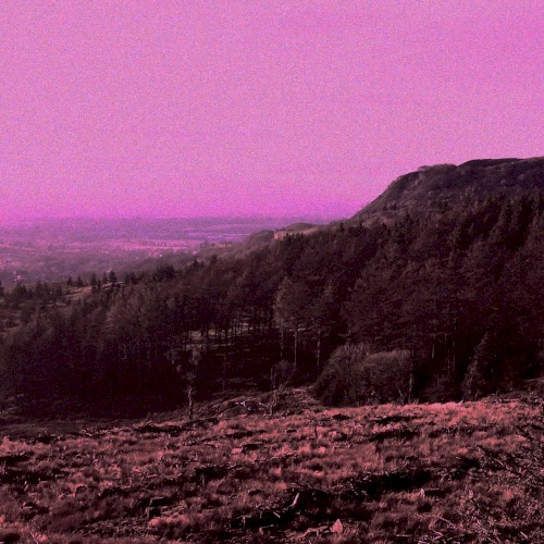 Daydream II