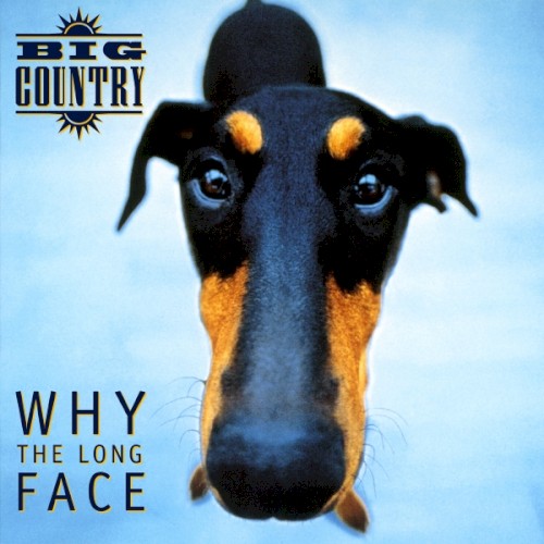 Why the Long Face