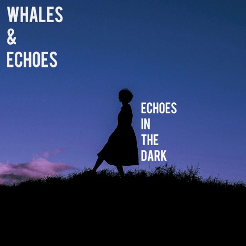 Echoes In The Dark