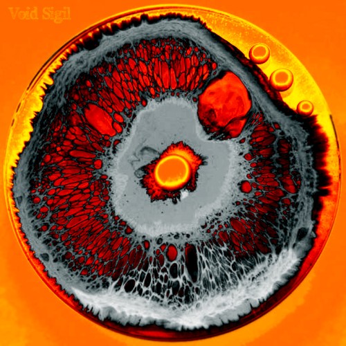 [Colonies of Microsonotecture]