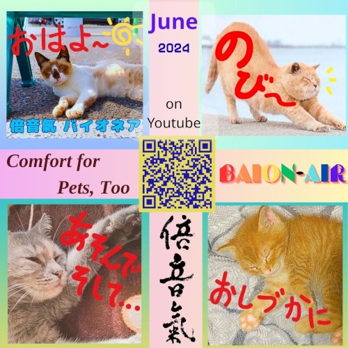 Comfort for Pets, Too