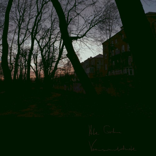 Verisimilitude