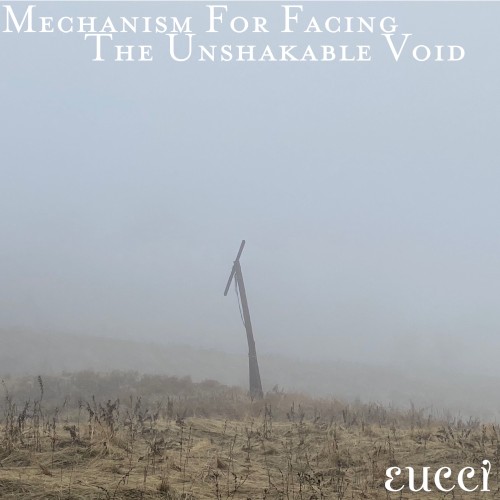 Mechanism for Facing the Unshakable Void