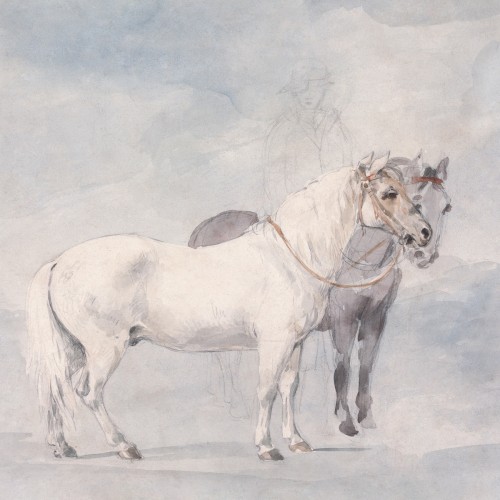 Horses &ndash; Every Dumb Thing I Ever Did