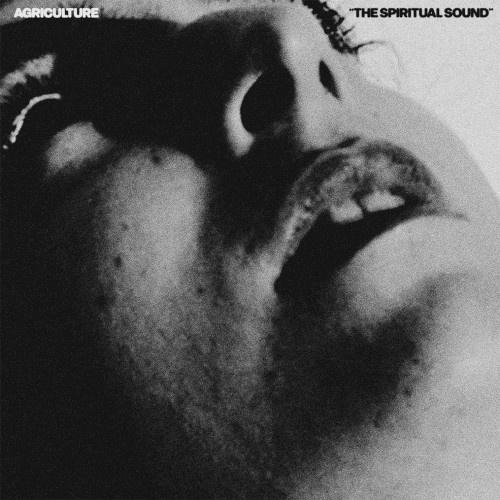The Spiritual Sound