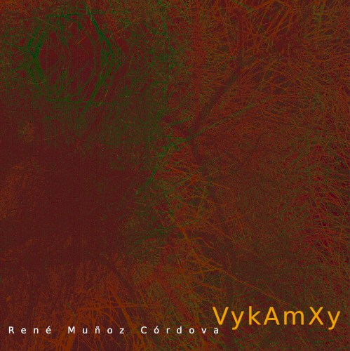 VykAmXy