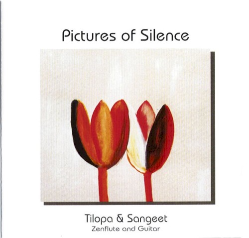Pictures of Silence