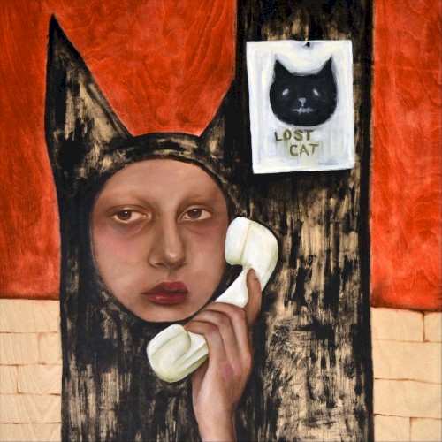 Lost Cat
