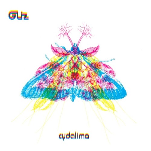 Cydalima