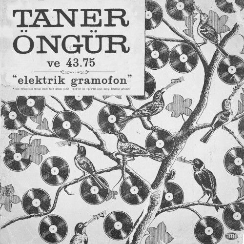 Elektrik Gramofon