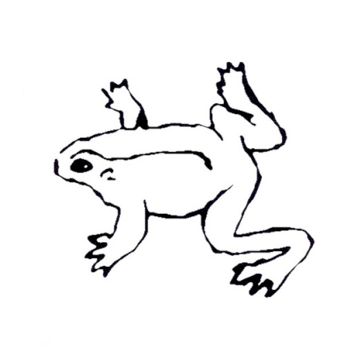 Frogs
