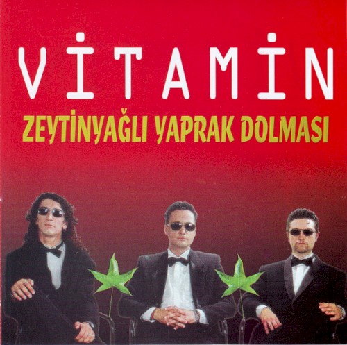 Zeytinyağlı Yaprak Dolması