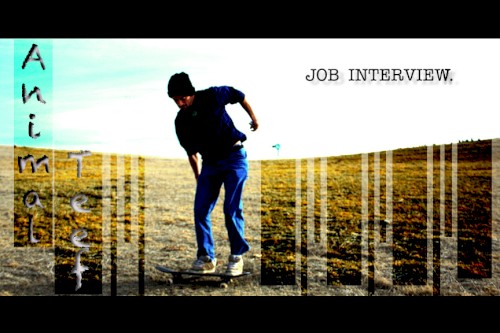 Job Interview
