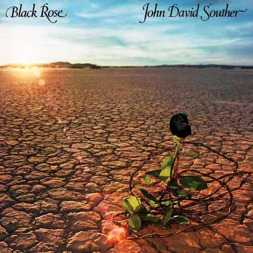 Black Rose