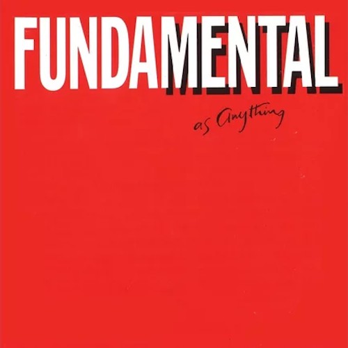 Fundamental as Anything