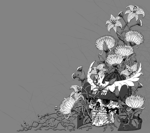 Bloom