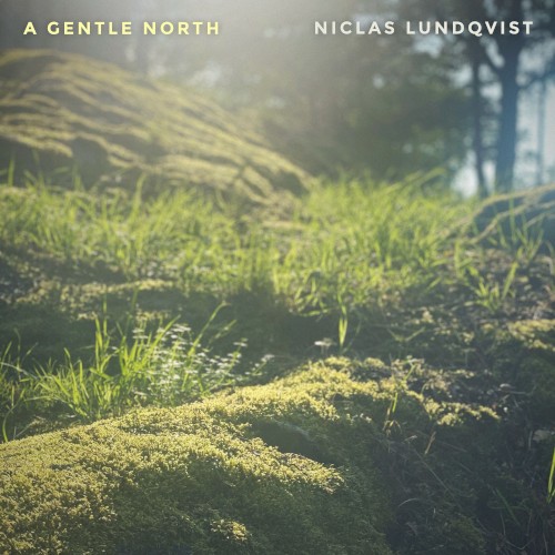A Gentle North