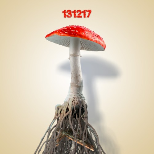 131217