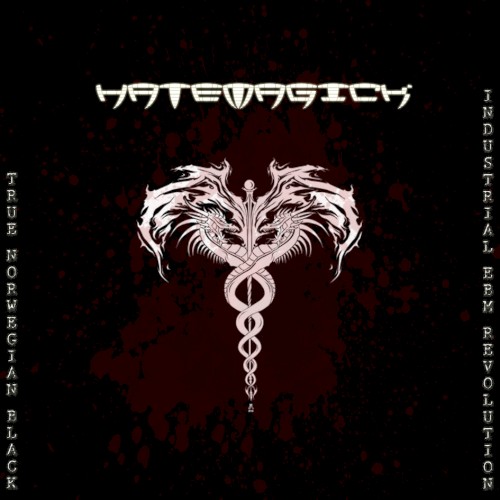True Norwegian Black Industrial EBM Revolution