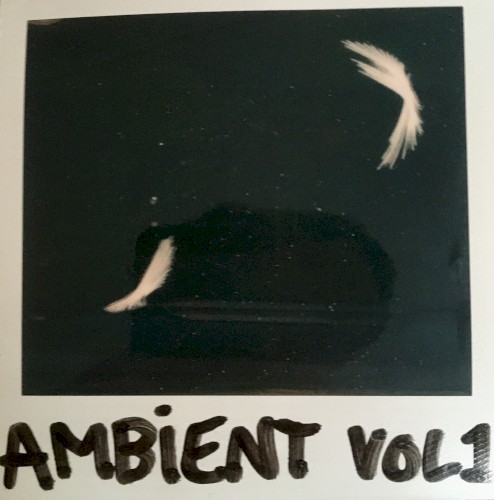 Ambient Vol. 1