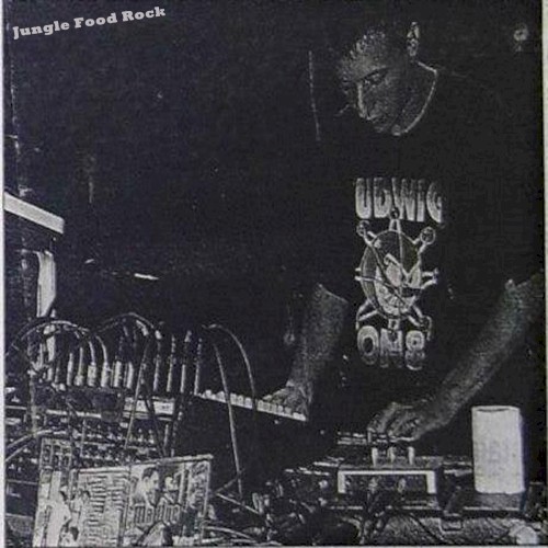 Jungle Food Rock