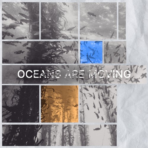 Oceans are Moving