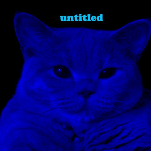 untitled