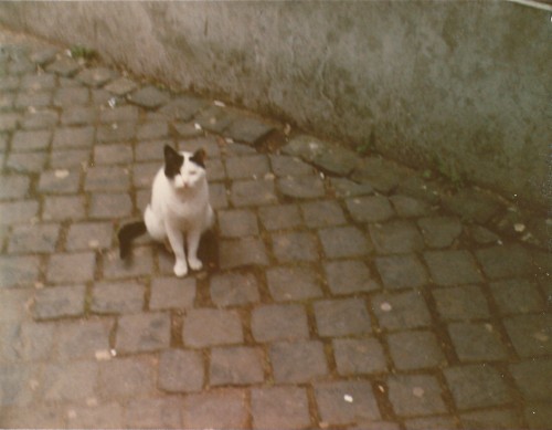 [untitled]
