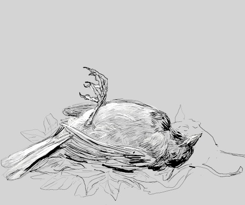 Death of the Sparrow