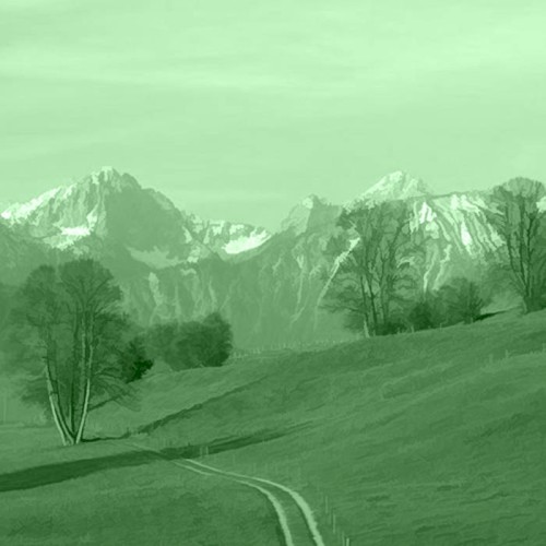 GREEN 6