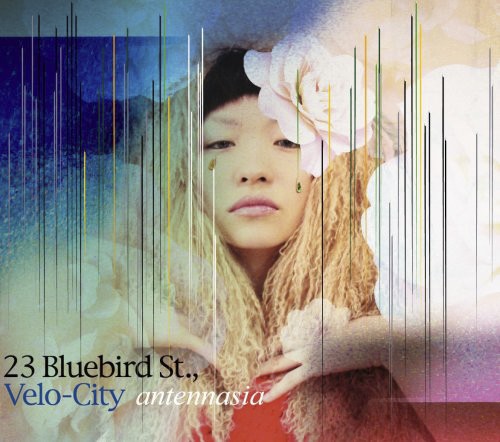 23 Bluebird St., Velo-City