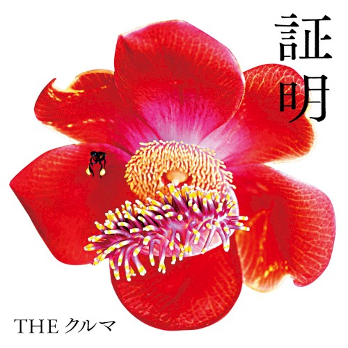 証明