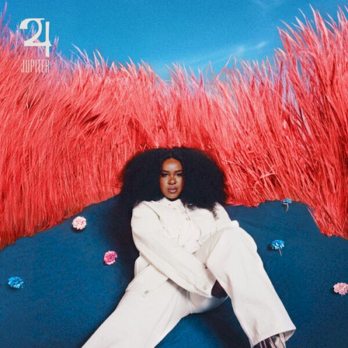 NAO &ndash; Jupiter