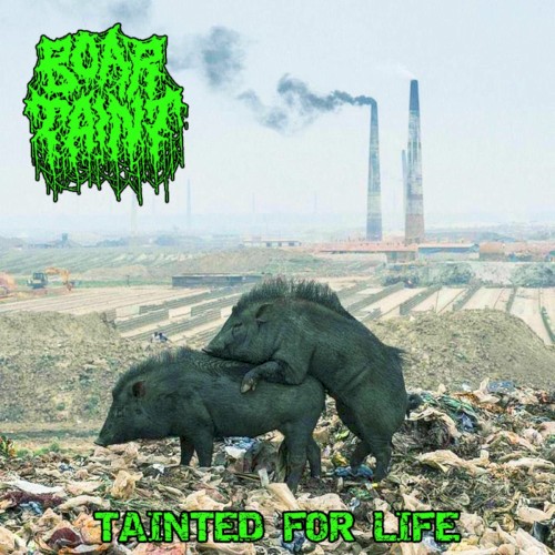 Tainted for Life