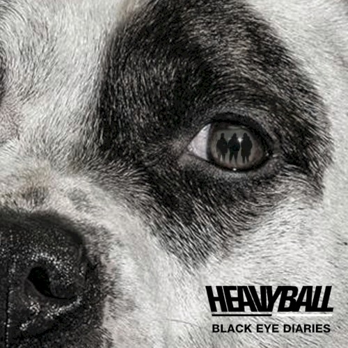 Black Eye Diaries