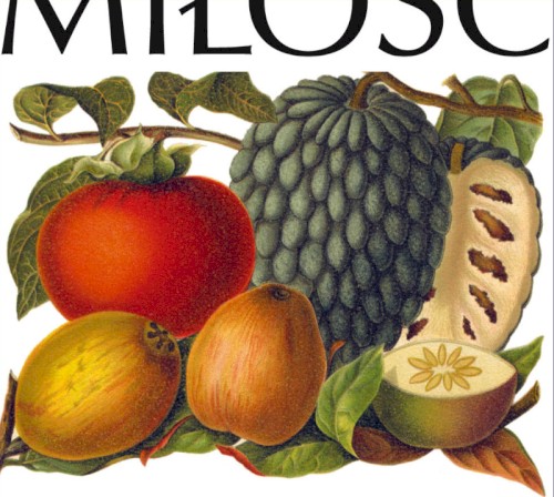 Milosc