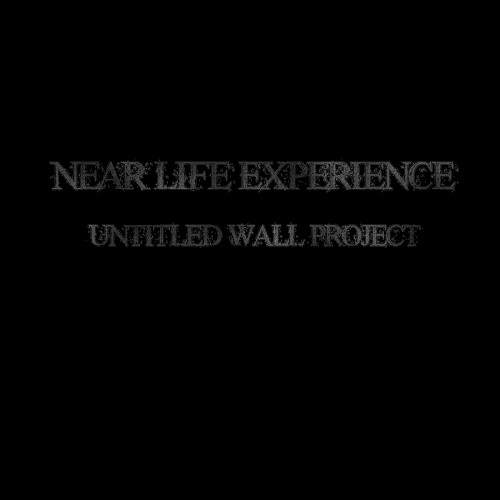 Near Life Experience