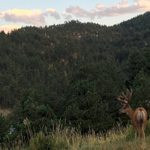 Denver