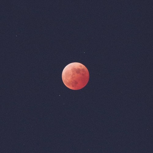 MOONLIGHT