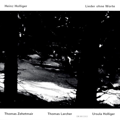 Lieder ohne Worte