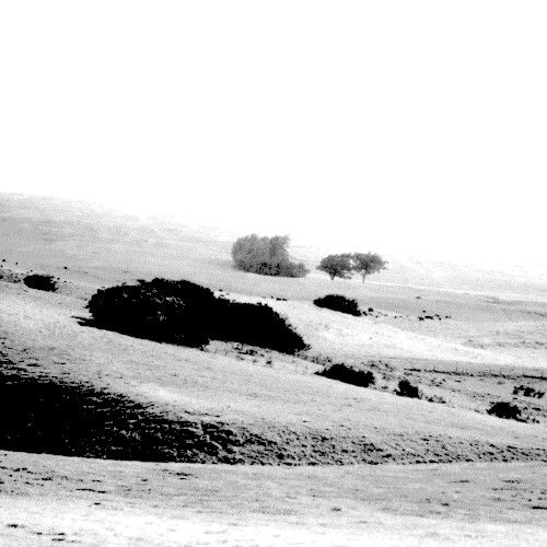 92nd