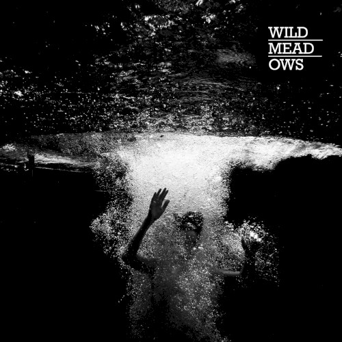 Wild Meadows