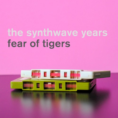 The Synthwave Years