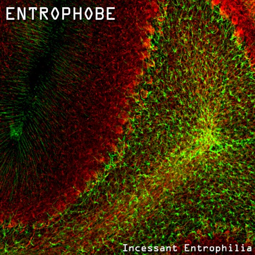Incessant Entrophilia