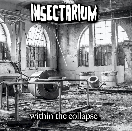 Within the Collapse