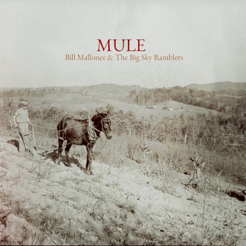 MULE