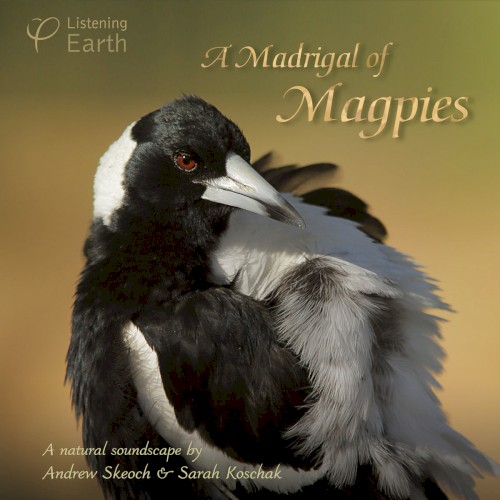 A Madrigal of Magpies