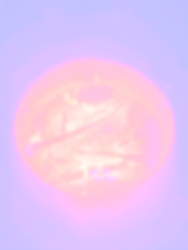0299