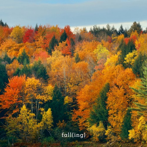 Fall(Ing)